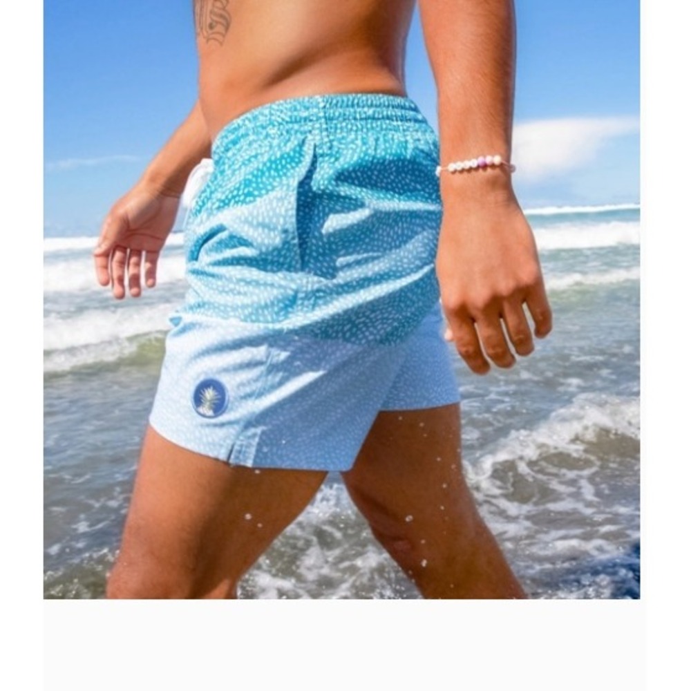 Chubbies Beachy Swim Trunks Size M Teal Blue Speckled 5.5 Inch Inseam